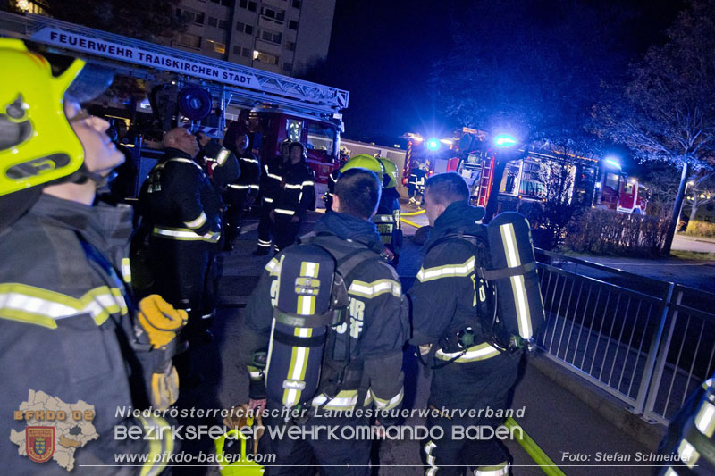 20241204_Feuerwehr rettet Katze aus Brandwohnung in Traiskirchen-Möllersdorf Foto: Stefan Schneider BFKDO BADEN