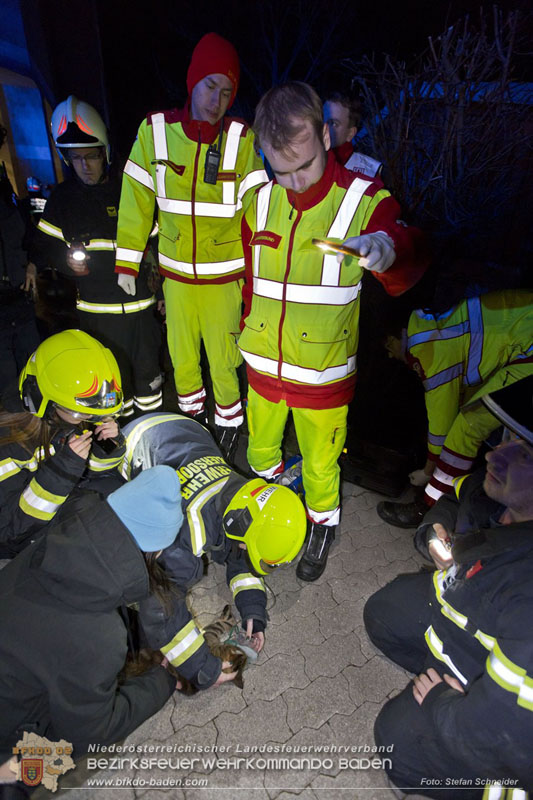 20241204_Feuerwehr rettet Katze aus Brandwohnung in Traiskirchen-Möllersdorf Foto: Stefan Schneider BFKDO BADEN