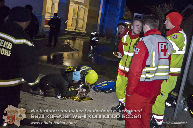 20241204_Feuerwehr rettet Katze aus Brandwohnung in Traiskirchen-Möllersdorf Foto: Stefan Schneider BFKDO BADEN
