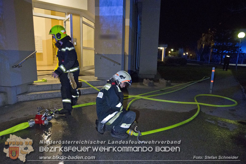 20241204_Feuerwehr rettet Katze aus Brandwohnung in Traiskirchen-Möllersdorf Foto: Stefan Schneider BFKDO BADEN