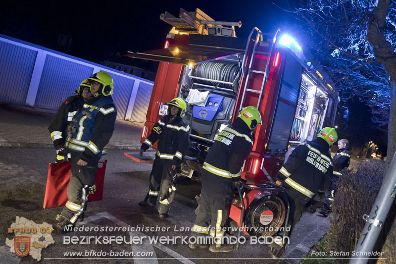 20241204_Feuerwehr rettet Katze aus Brandwohnung in Traiskirchen-Möllersdorf Foto: Stefan Schneider BFKDO BADEN