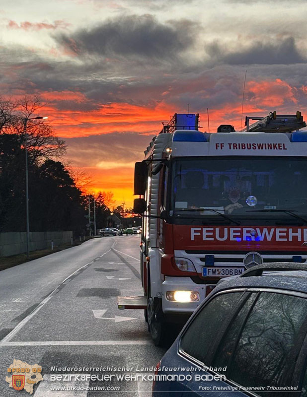 20250129_Feuerwehr befreit Lenker nach Verkehrsunfall auf der B210  Foto: Nina Mitheis FF Tribuswinkel