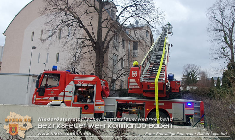 20250206_Wohnungsbrand in Badener Mehrparteienhaus - Feuerwehr rettet Personen und Tiere Foto: Stefan Wagner FF Baden-Leesdorf 20250206_Wohnungsbrand in Badener Mehrparteienhaus - Feuerwehr rettet Personen und Tiere Foto: Stefan Wagner FF Baden-Leesdorf