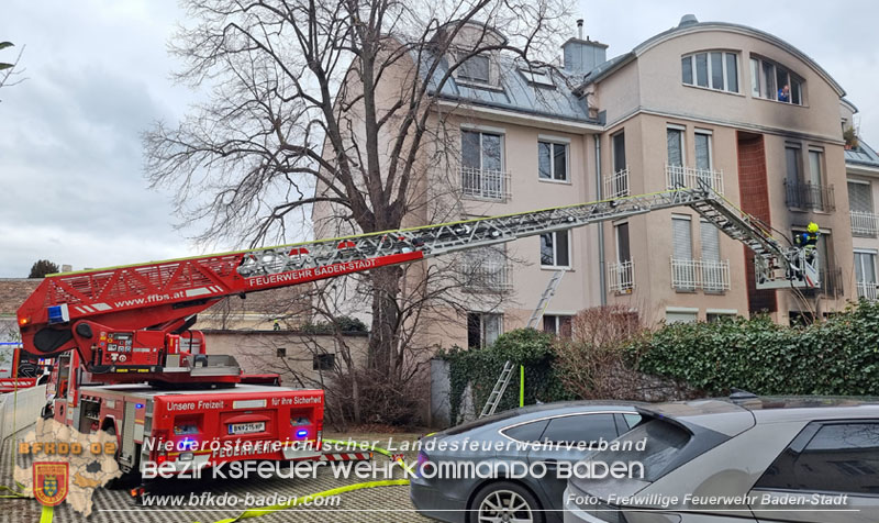 20250206_Wohnungsbrand in Badener Mehrparteienhaus - Feuerwehr rettet Personen und Tiere Foto: Stefan Schneider FF Baden-Stadt 20250206_Wohnungsbrand in Badener Mehrparteienhaus - Feuerwehr rettet Personen und Tiere Foto: Stefan Schneider FF Baden-Stadt