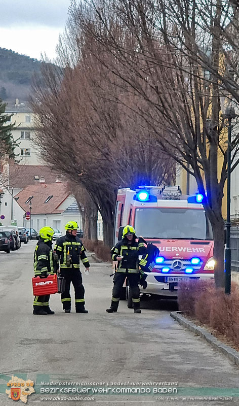 20250206_Wohnungsbrand in Badener Mehrparteienhaus - Feuerwehr rettet Personen und Tiere Foto: Stefan Schneider FF Baden-Stadt 20250206_Wohnungsbrand in Badener Mehrparteienhaus - Feuerwehr rettet Personen und Tiere Foto: Stefan Schneider FF Baden-Stadt