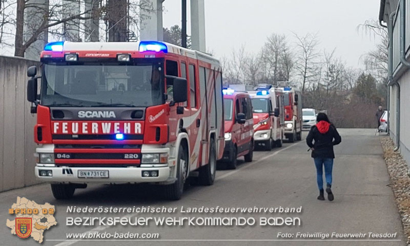 20250213_Brand in einer elektrischen Anlage auf einem Firmengelände in Blumau-Neurißhof  Foto: FF Teesdorf