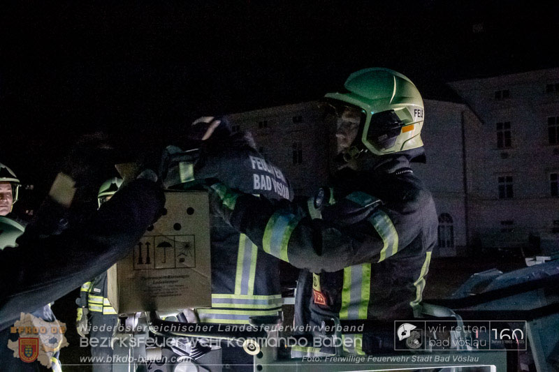 20250215_Feuerwehr rettet Turmfalke aus Baum im Vöslauer Schloßpark  Foto: FF Stadt Bad Vöslau