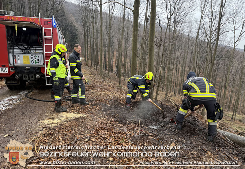 20250223_Aufmerksamer Wanderer verhindert Waldbrand in Klausen-Leopoldsdorf Foto: FF Klausen-Leopoldsdorf