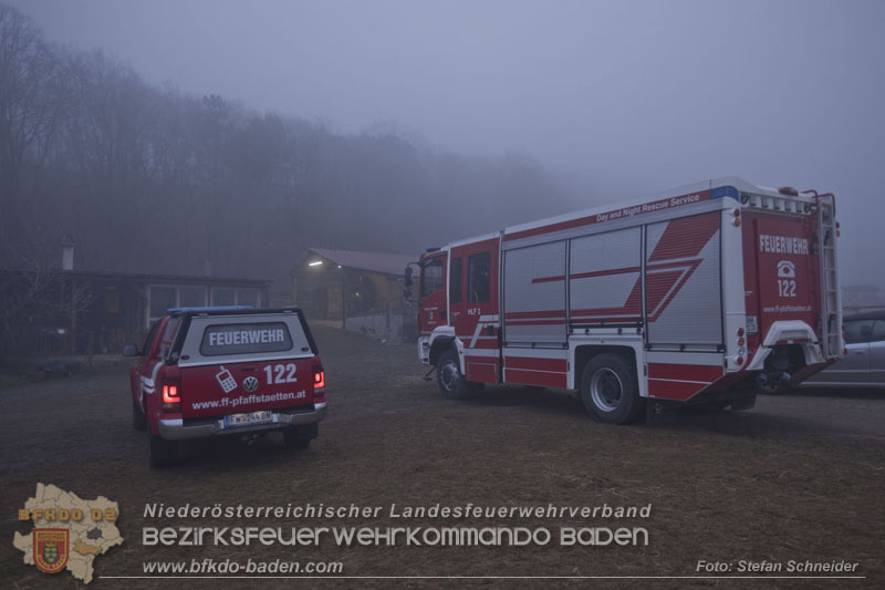 20250225_Feuerwehr Pfaffstätten unterstützt SAMMY" beim Aufstehen! Foto: Stefan Schneider BFKDO BADEN 20250225_Feuerwehr Pfaffstätten unterstützt SAMMY" beim Aufstehen! Foto: Stefan Schneider BFKDO BADEN