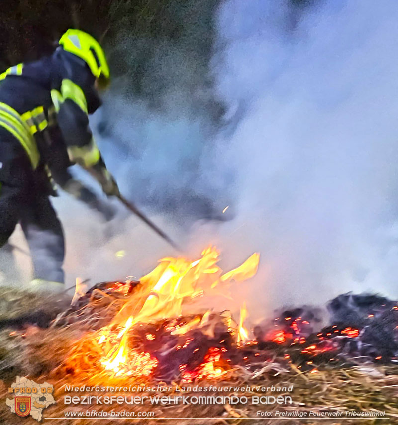 20250307_Brennender Grünschnitthaufen im Schlosspark Tribuswinkel Foto: Freiwillige Feuerwehr Tribuswinkel 20250307_Brennender Grünschnitthaufen im Schlosspark Tribuswinkel Foto: Freiwillige Feuerwehr Tribuswinkel