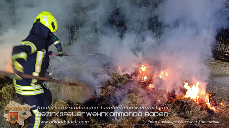20250307_Brennender Grünschnitthaufen im Schlosspark Tribuswinkel Foto: Freiwillige Feuerwehr Tribuswinkel 20250307_Brennender Grünschnitthaufen im Schlosspark Tribuswinkel Foto: Freiwillige Feuerwehr Tribuswinkel