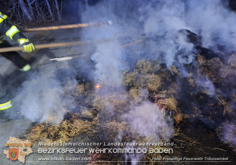 20250307_Brennender Grünschnitthaufen im Schlosspark Tribuswinkel Foto: Freiwillige Feuerwehr Tribuswinkel 20250307_Brennender Grünschnitthaufen im Schlosspark Tribuswinkel Foto: Freiwillige Feuerwehr Tribuswinkel