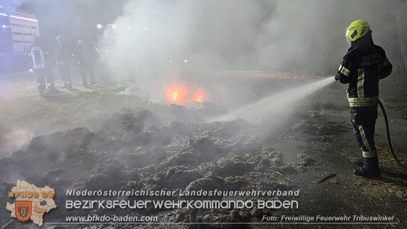 20250307_Brennender Grünschnitthaufen im Schlosspark Tribuswinkel Foto: Freiwillige Feuerwehr Tribuswinkel 20250307_Brennender Grünschnitthaufen im Schlosspark Tribuswinkel Foto: Freiwillige Feuerwehr Tribuswinkel