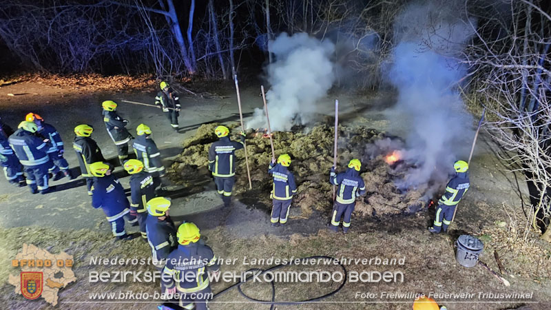 20250307_Brennender Grünschnitthaufen im Schlosspark Tribuswinkel   Foto: Freiwillige Feuerwehr Tribuswinkel