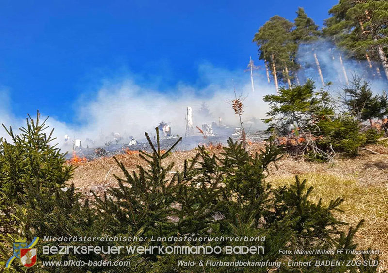 20250308_Unterstützung Sonderdienst bei Waldbrand im Bezirk Neunkirchen   Foto: Manuel Mitheis FF Tribuswinkel