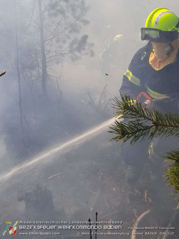 20250308_Unterstützung Sonderdienst bei Waldbrand im Bezirk Neunkirchen Foto: Manuel Mitheis FF Tribuswinkel  20250308_Unterstützung Sonderdienst bei Waldbrand im Bezirk Neunkirchen Foto: Manuel Mitheis FF Tribuswinkel