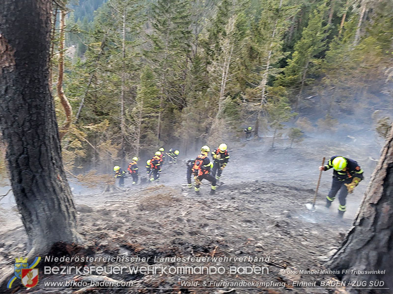 20250308_Unterstützung Sonderdienst bei Waldbrand im Bezirk Neunkirchen Foto: Manuel Mitheis FF Tribuswinkel  20250308_Unterstützung Sonderdienst bei Waldbrand im Bezirk Neunkirchen Foto: Manuel Mitheis FF Tribuswinkel
