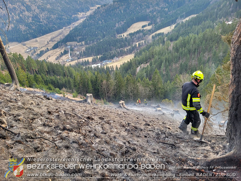 20250308_Unterstützung Sonderdienst bei Waldbrand im Bezirk Neunkirchen Foto: Manuel Mitheis FF Tribuswinkel  20250308_Unterstützung Sonderdienst bei Waldbrand im Bezirk Neunkirchen Foto: Manuel Mitheis FF Tribuswinkel