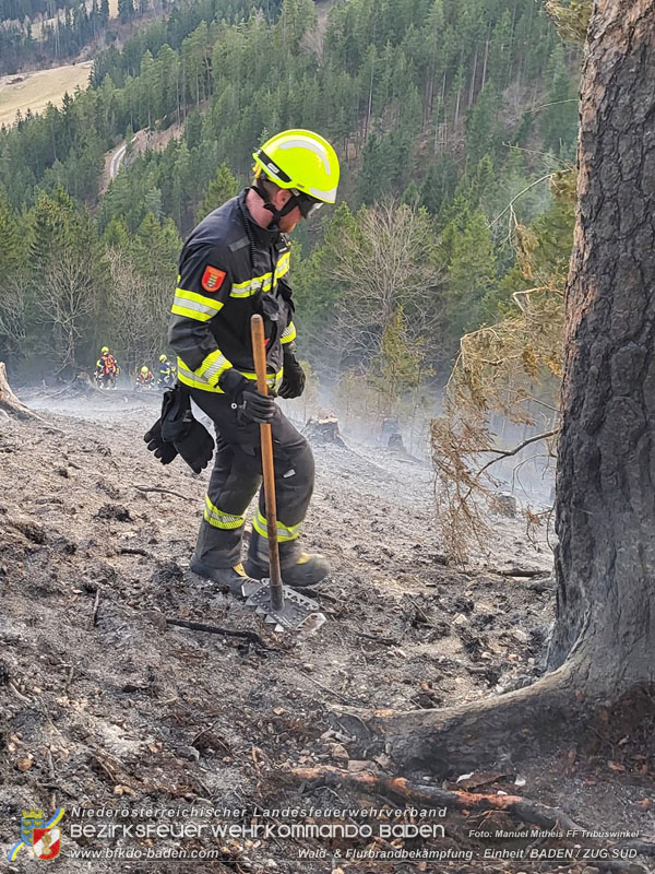 20250308_Unterstützung Sonderdienst bei Waldbrand im Bezirk Neunkirchen Foto: Manuel Mitheis FF Tribuswinkel 20250308_Unterstützung Sonderdienst bei Waldbrand im Bezirk Neunkirchen Foto: Manuel Mitheis FF Tribuswinkel