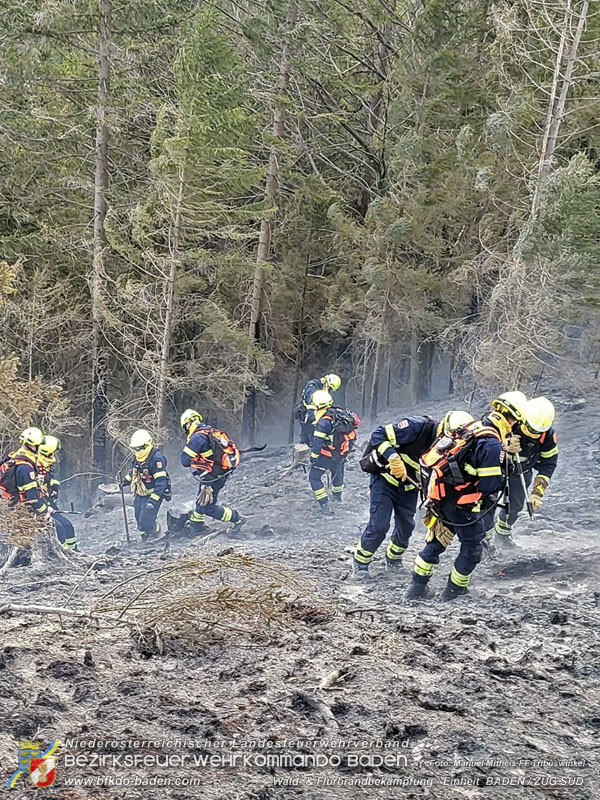 20250308_Unterstützung Sonderdienst bei Waldbrand im Bezirk Neunkirchen Foto: Manuel Mitheis FF Tribuswinkel 20250308_Unterstützung Sonderdienst bei Waldbrand im Bezirk Neunkirchen Foto: Manuel Mitheis FF Tribuswinkel