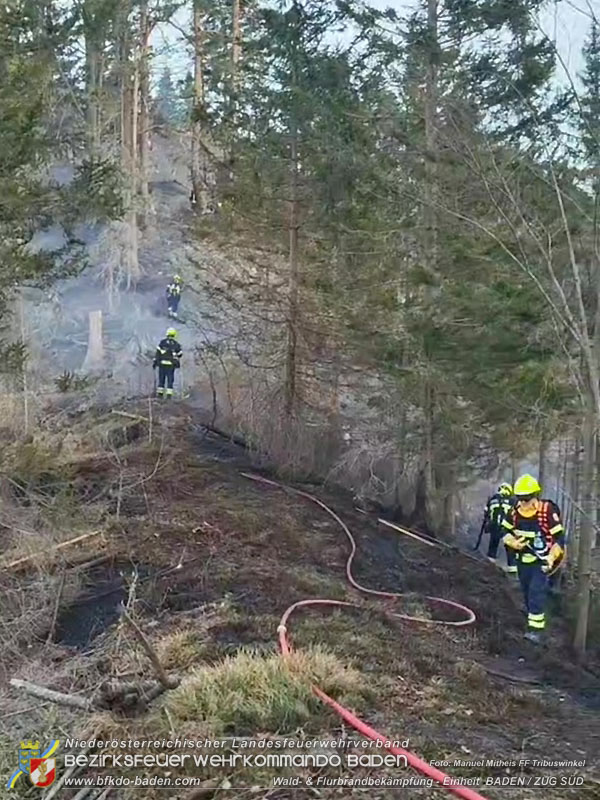 20250308_Unterstützung Sonderdienst bei Waldbrand im Bezirk Neunkirchen Foto: Manuel Mitheis FF Tribuswinkel 20250308_Unterstützung Sonderdienst bei Waldbrand im Bezirk Neunkirchen Foto: Manuel Mitheis FF Tribuswinkel