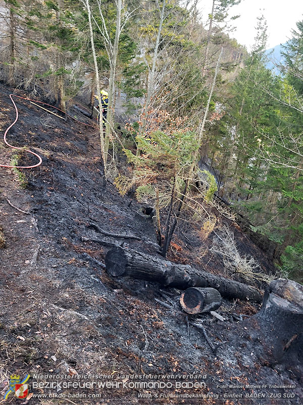 20250308_Unterstützung Sonderdienst bei Waldbrand im Bezirk Neunkirchen Foto: Manuel Mitheis FF Tribuswinkel 20250308_Unterstützung Sonderdienst bei Waldbrand im Bezirk Neunkirchen Foto: Manuel Mitheis FF Tribuswinkel