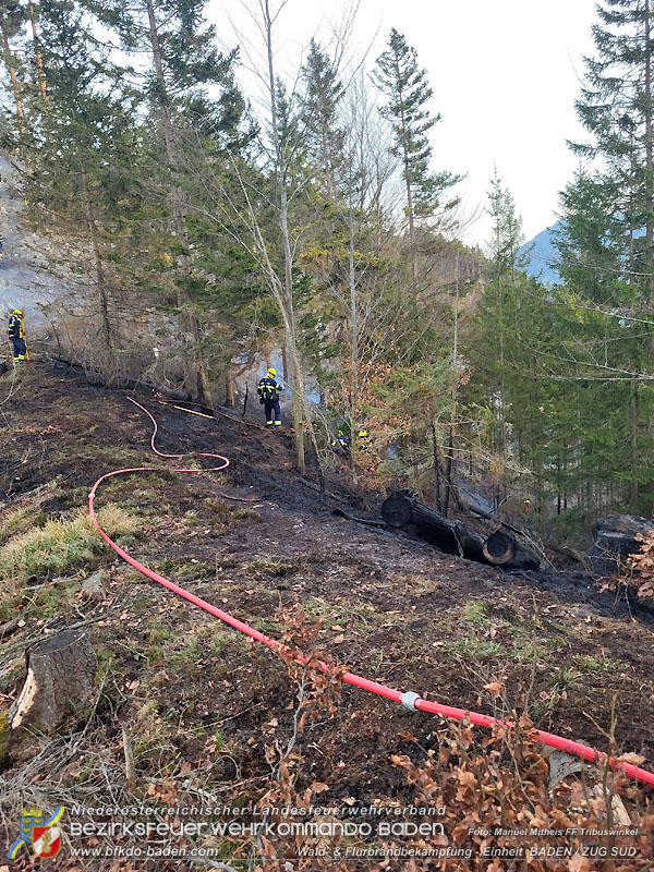 20250308_Unterstützung Sonderdienst bei Waldbrand im Bezirk Neunkirchen Foto: Manuel Mitheis FF Tribuswinkel 20250308_Unterstützung Sonderdienst bei Waldbrand im Bezirk Neunkirchen Foto: Manuel Mitheis FF Tribuswinkel