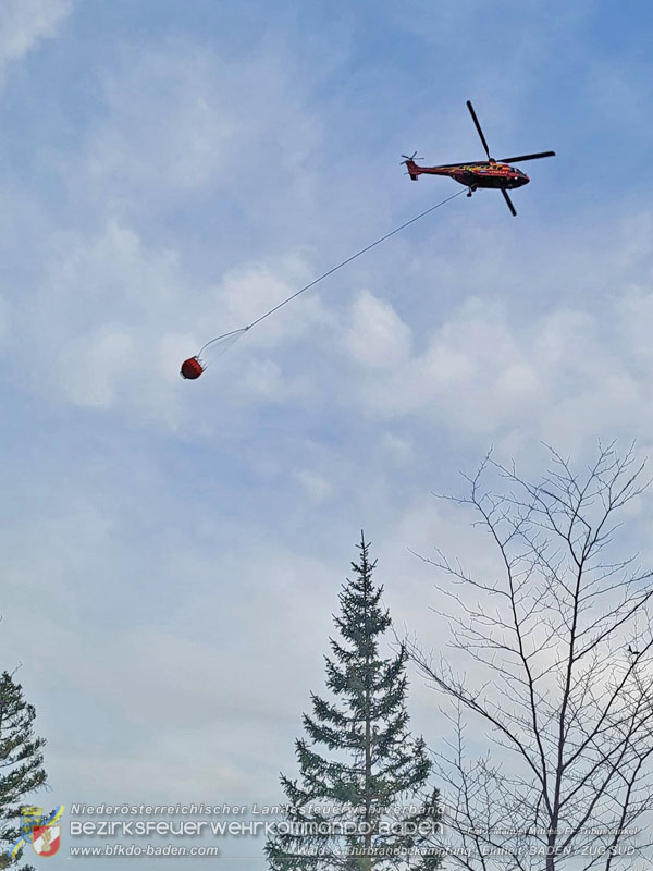 20250308_Unterstützung Sonderdienst bei Waldbrand im Bezirk Neunkirchen Foto: Manuel Mitheis FF Tribuswinkel 20250308_Unterstützung Sonderdienst bei Waldbrand im Bezirk Neunkirchen Foto: Manuel Mitheis FF Tribuswinkel