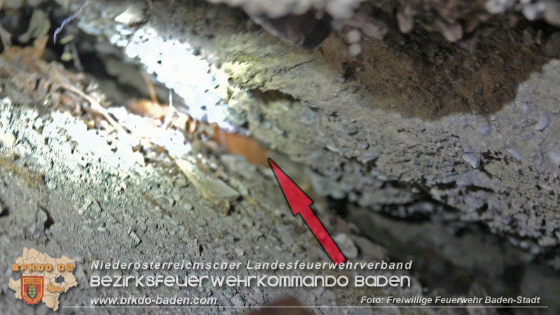 20250310_Feuerwehr befreit Stubentiger Odin" aus unterirdischem Hohlraum in Baden!   Foto: Stefan Schneider FF Baden-Stadt