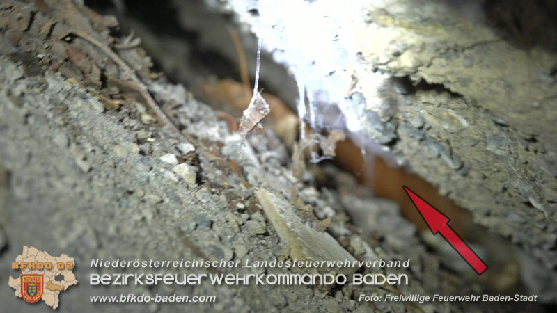 20250310_Feuerwehr befreit Stubentiger Odin" aus unterirdischem Hohlraum in Baden!   Foto: Stefan Schneider FF Baden-Stadt