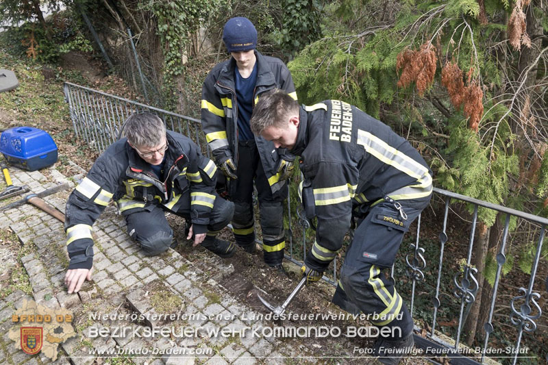 20250310_Feuerwehr befreit Stubentiger Odin" aus unterirdischem Hohlraum in Baden!   Foto: Stefan Schneider FF Baden-Stadt