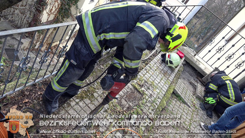 20250310_Feuerwehr befreit Stubentiger Odin" aus unterirdischem Hohlraum in Baden!   Foto: Stefan Schneider FF Baden-Stadt