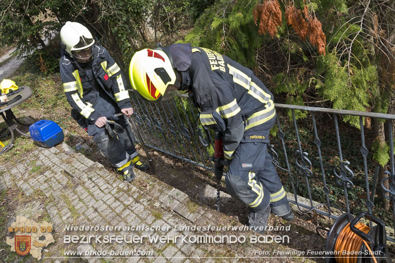 20250310_Feuerwehr befreit Stubentiger Odin" aus unterirdischem Hohlraum in Baden!   Foto: Stefan Schneider FF Baden-Stadt