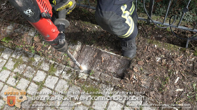 20250310_Feuerwehr befreit Stubentiger Odin" aus unterirdischem Hohlraum in Baden!   Foto: Stefan Schneider FF Baden-Stadt