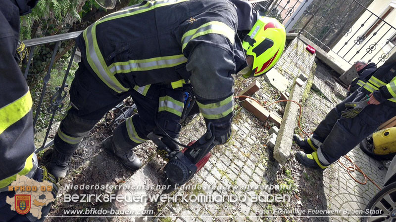 20250310_Feuerwehr befreit Stubentiger Odin" aus unterirdischem Hohlraum in Baden!   Foto: Stefan Schneider FF Baden-Stadt