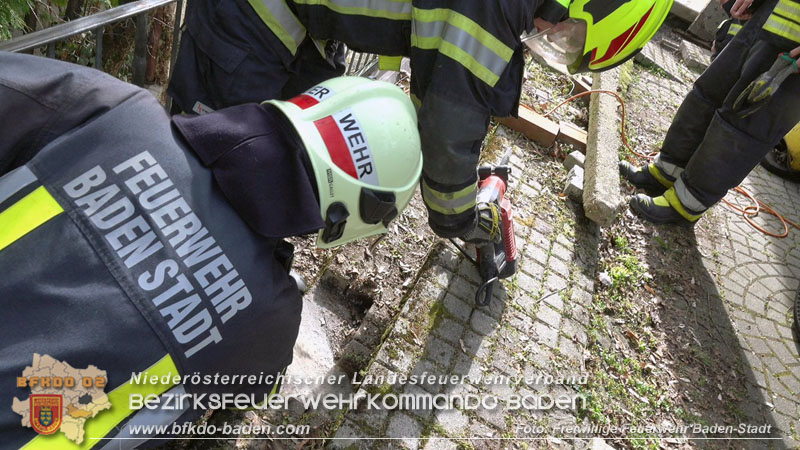 20250310_Feuerwehr befreit Stubentiger Odin" aus unterirdischem Hohlraum in Baden!   Foto: Stefan Schneider FF Baden-Stadt