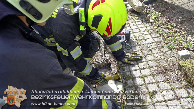 20250310_Feuerwehr befreit Stubentiger Odin" aus unterirdischem Hohlraum in Baden!   Foto: Stefan Schneider FF Baden-Stadt