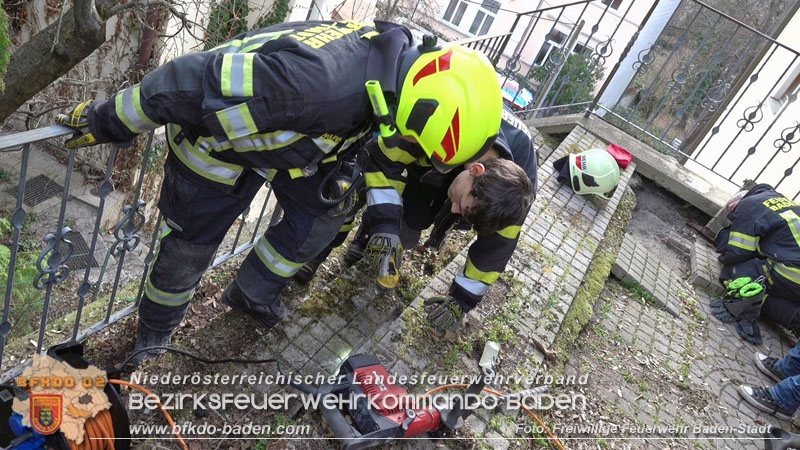 20250310_Feuerwehr befreit Stubentiger Odin" aus unterirdischem Hohlraum in Baden!   Foto: Stefan Schneider FF Baden-Stadt