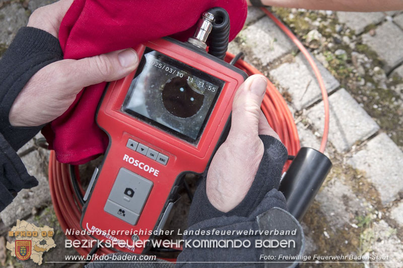 20250310_Feuerwehr befreit Stubentiger Odin" aus unterirdischem Hohlraum in Baden!   Foto: Stefan Schneider FF Baden-Stadt