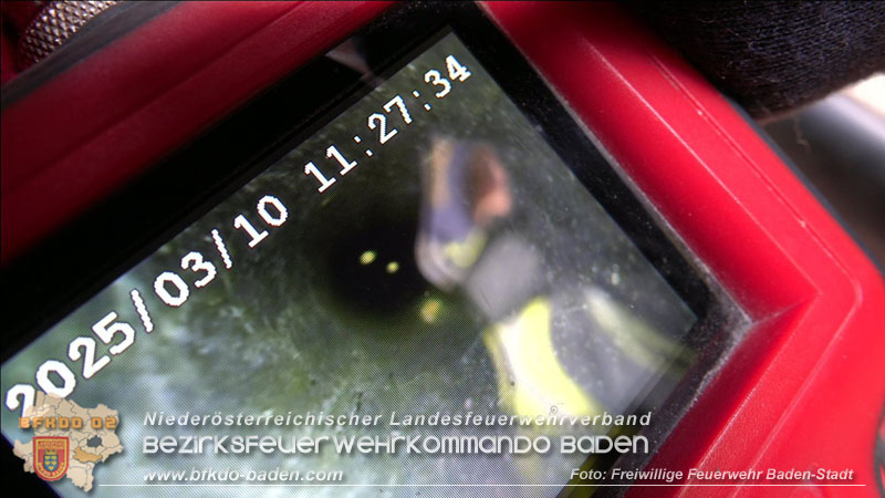 20250310_Feuerwehr befreit Stubentiger Odin" aus unterirdischem Hohlraum in Baden!   Foto: Stefan Schneider FF Baden-Stadt