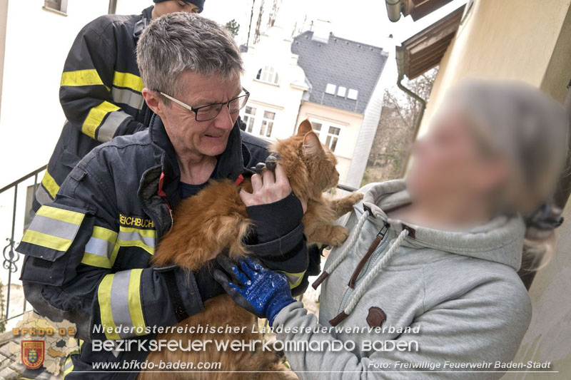 20250310_Feuerwehr befreit Stubentiger Odin" aus unterirdischem Hohlraum in Baden!   Foto: Stefan Schneider FF Baden-Stadt