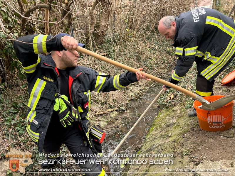 20250312_Gewässerverunreinigung im Ödlitzbach   Foto: Freiwillige Feuerwehr Ödlitz