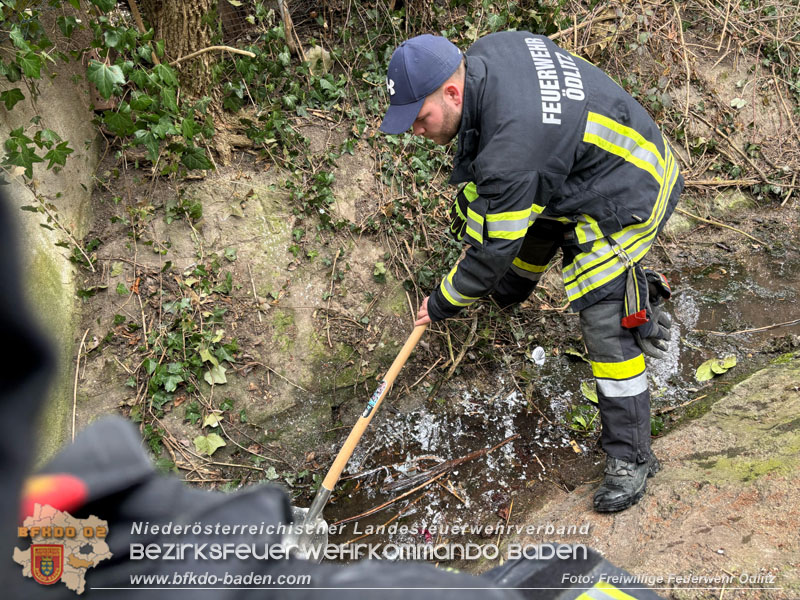 20250312_Gewässerverunreinigung im Ödlitzbach   Foto: Freiwillige Feuerwehr Ödlitz