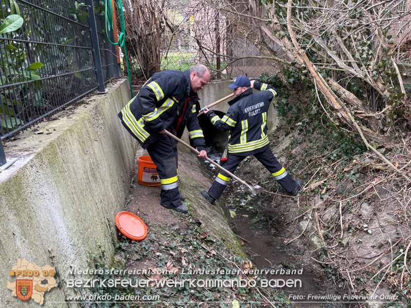 20250312_Gewässerverunreinigung im Ödlitzbach   Foto: Freiwillige Feuerwehr Ödlitz
