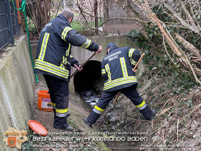 20250312_Gewässerverunreinigung im Ödlitzbach   Foto: Freiwillige Feuerwehr Ödlitz