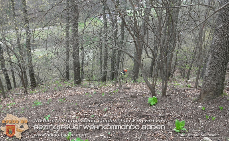20250405_Kletterunfall im Helenental bei Sattelbach Gemeinde Heiligenkreuz Foto: Stefan Schneider BFKDO BADEN 20250405_Kletterunfall im Helenental bei Sattelbach Gemeinde Heiligenkreuz Foto: Stefan Schneider BFKDO BADEN