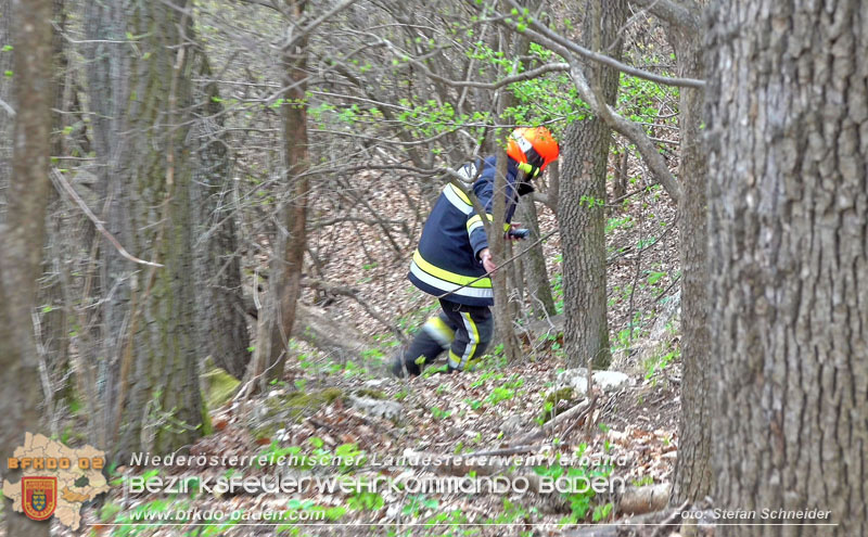 20250405_Kletterunfall im Helenental bei Sattelbach Gemeinde Heiligenkreuz Foto: Stefan Schneider BFKDO BADEN 20250405_Kletterunfall im Helenental bei Sattelbach Gemeinde Heiligenkreuz Foto: Stefan Schneider BFKDO BADEN