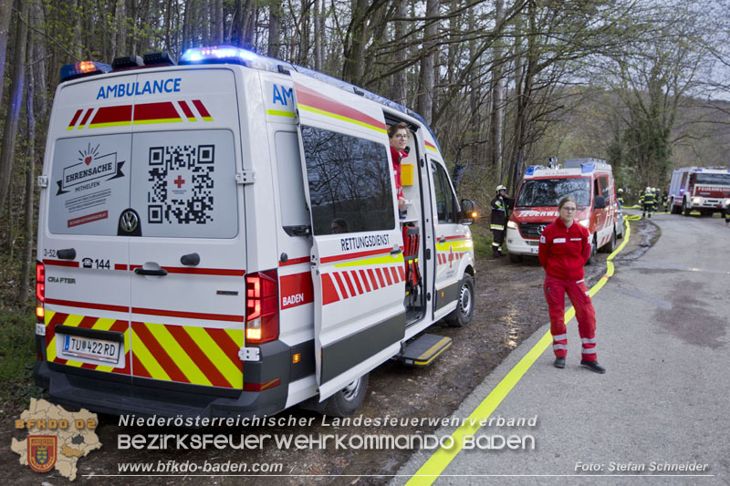 20250405_Brand auf dem Areal eines Pferdehofs in Maria Raisenmarkt Gemeinde Alland Foto: Stefan Schneider BFKDO BADEN 20250405_Brand auf dem Areal eines Pferdehofs in Maria Raisenmarkt Gemeinde Alland Foto: Stefan Schneider BFKDO BADEN