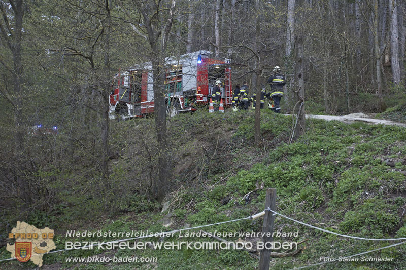 20250405_Brand auf dem Areal eines Pferdehofs in Maria Raisenmarkt Gemeinde Alland Foto: Stefan Schneider BFKDO BADEN 20250405_Brand auf dem Areal eines Pferdehofs in Maria Raisenmarkt Gemeinde Alland Foto: Stefan Schneider BFKDO BADEN