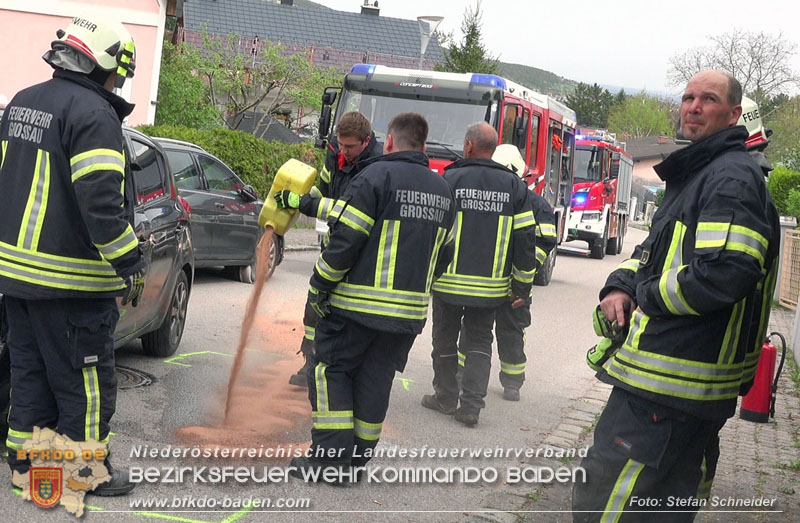 20250417_Verkehrsunfall mit Personenrettung in Großau NÖ   Foto: Stefan Schneider BFKDO BADEN